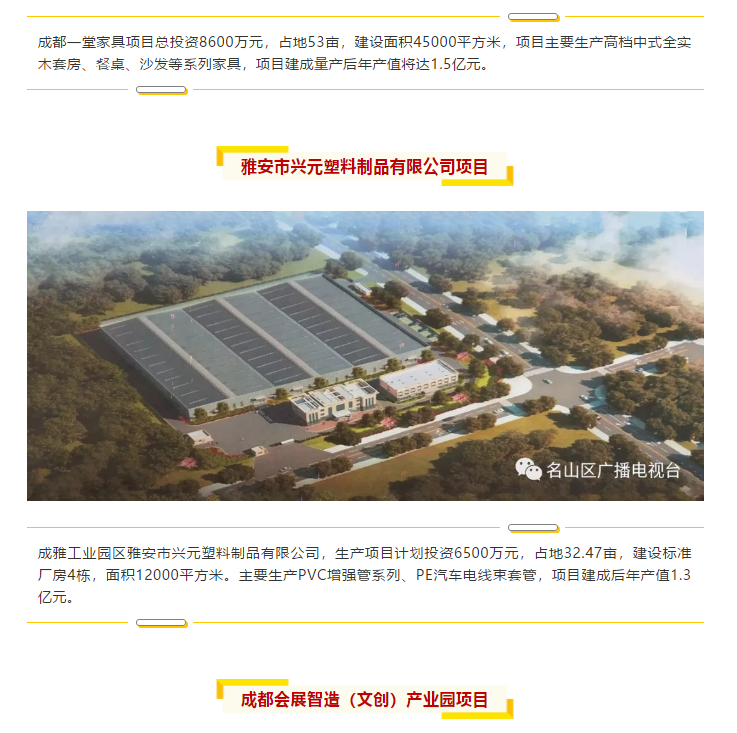總投資157.1億元！四川省2019年第一季度重大項(xiàng)目集中開(kāi)工儀式雅安分會(huì)場(chǎng)在成雅工業(yè)園區(qū)舉行(圖6)